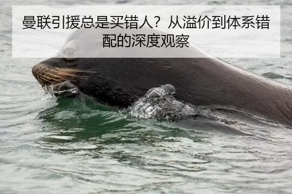 曼联引援总是买错人？从溢价到体系错配的深度观察